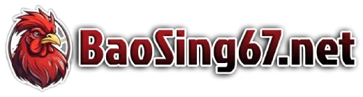 baosting67.net
