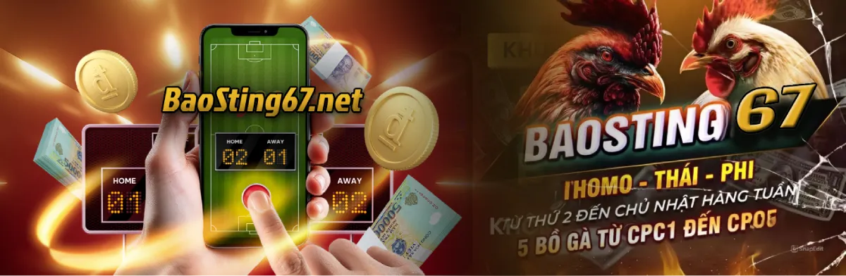Xem Đá Gà Trực Tiếp Thomo C1 C2 C3 C4 C5